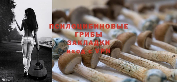 шишки Бородино