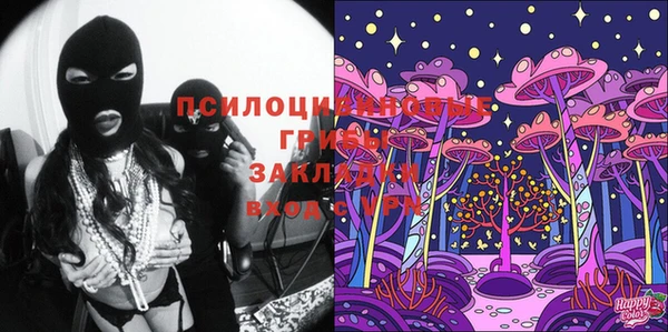 МДПВ Бронницы