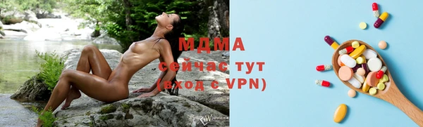шишки Бородино