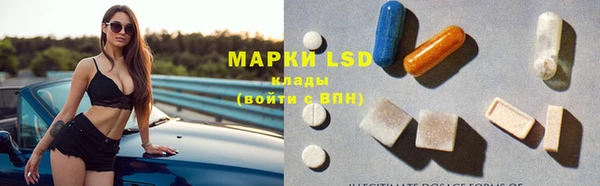 шишки Бородино