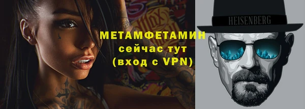 шишки Бородино