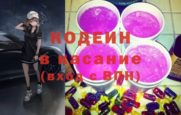 шишки Бородино