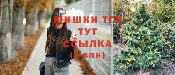 шишки Бородино