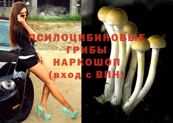 шишки Бородино