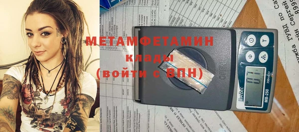 шишки Бородино