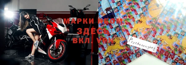 шишки Бородино