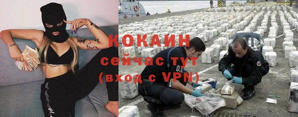 шишки Бородино