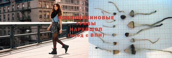 шишки Бородино