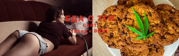 шишки Бородино