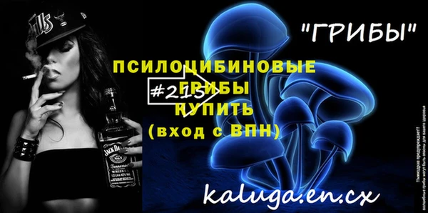 МДПВ Бронницы